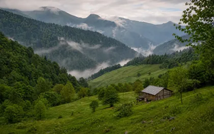 Karadeniz Yaylaları